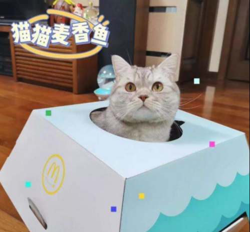 一些和貓相關(guān)的設(shè)計(jì)432